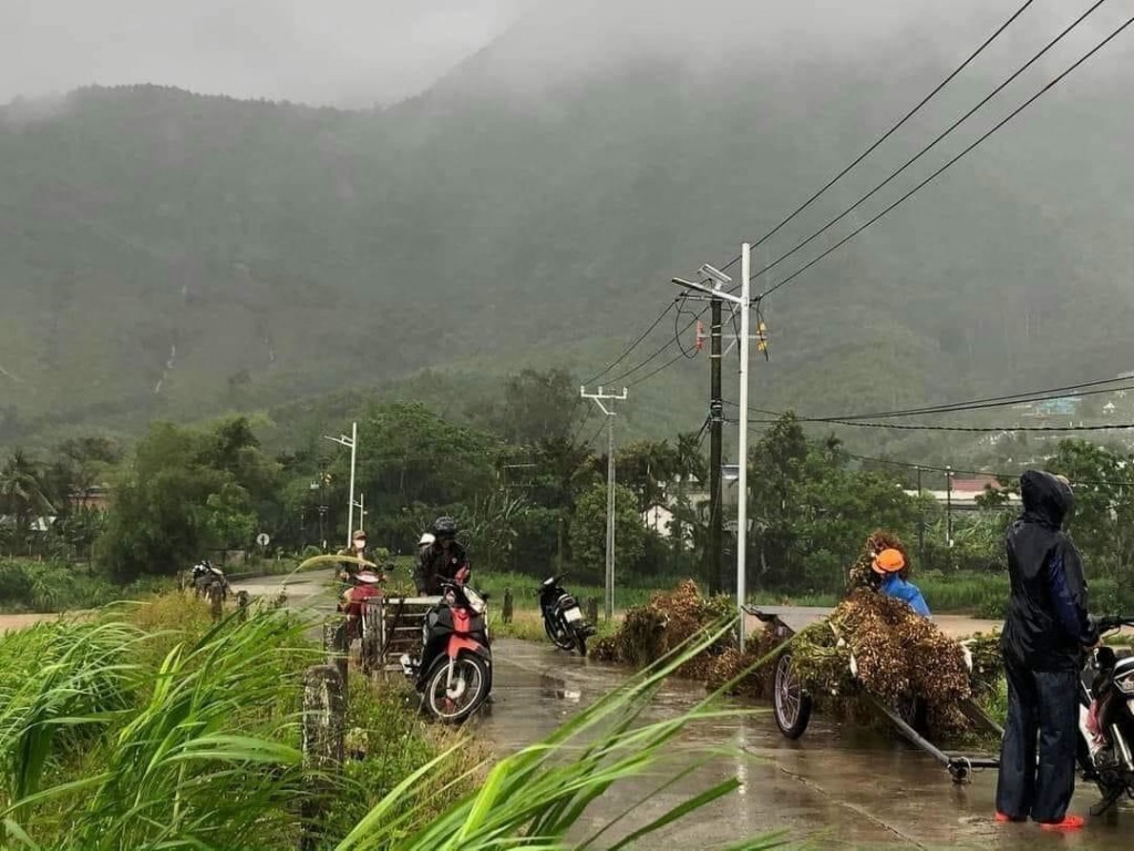 Một xã có hơn 105 hecta cây trồng bị hư hại do mưa lớn trái mùa