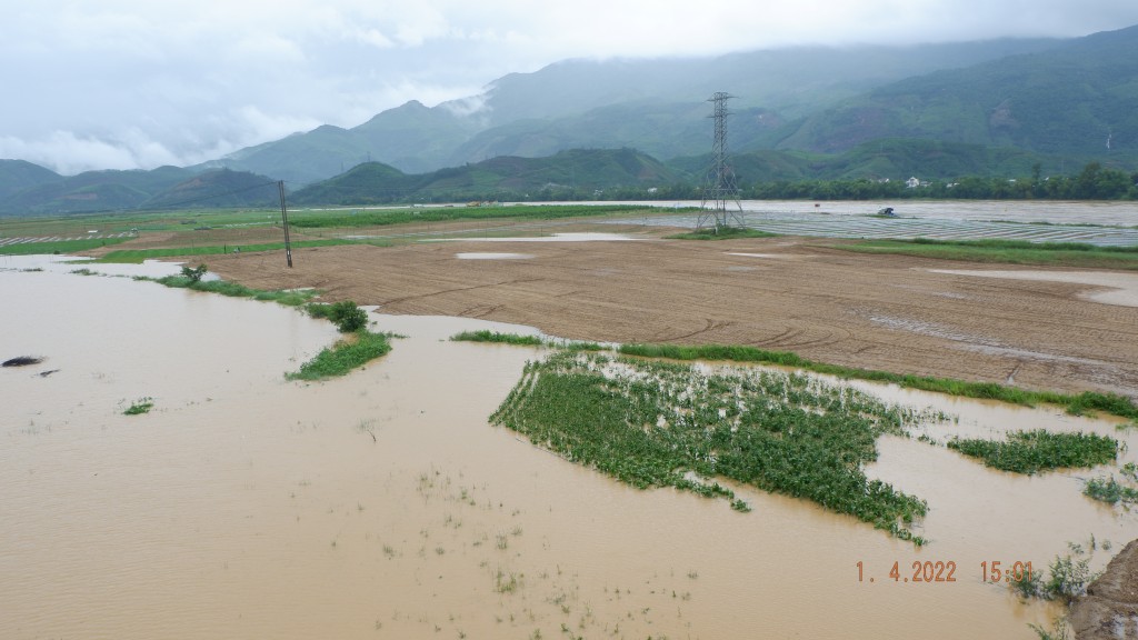 Quảng Nam: Một xã có hơn 105 hecta cây trồng bị hư hại do mưa lớn thất thường