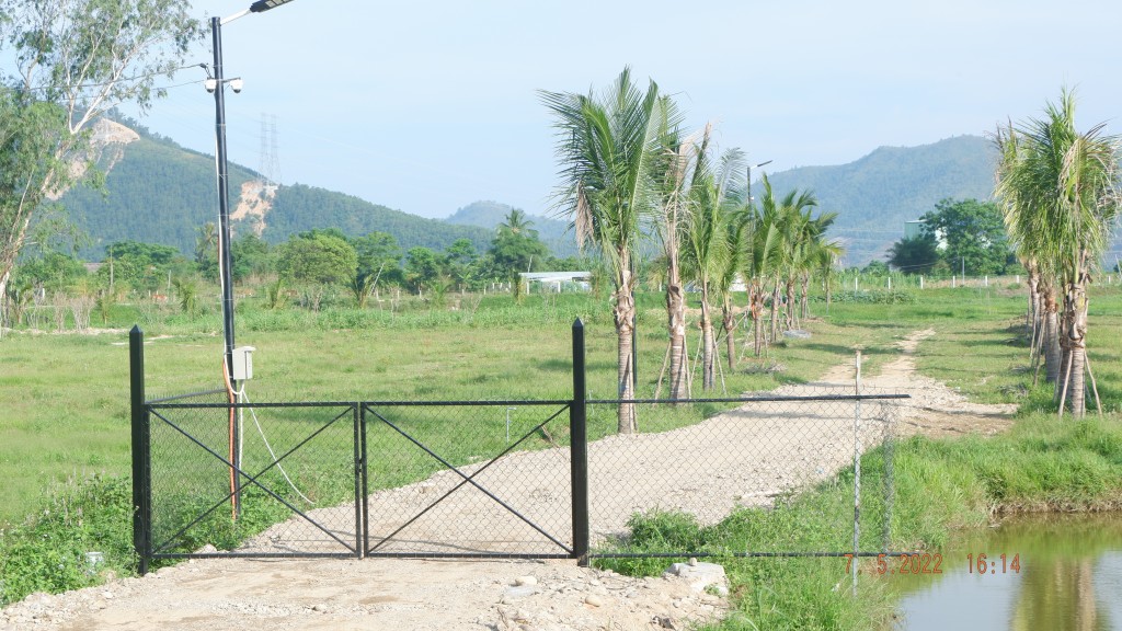 Đà Nẵng: Chia lô ruộng mía, khu du lịch tự phát 