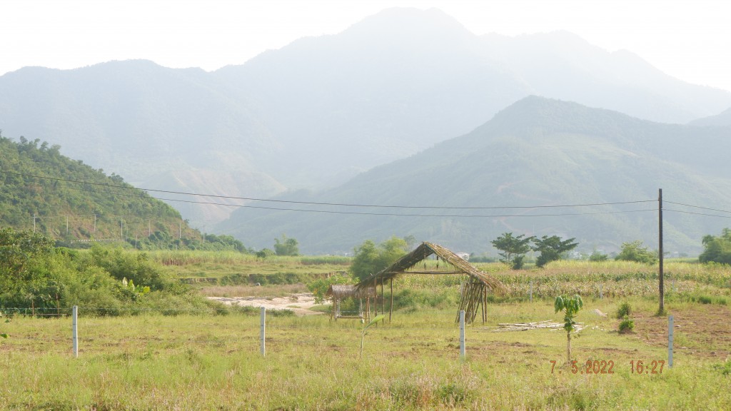 Đà Nẵng: Chia lô ruộng mía, khu du lịch tự phát 