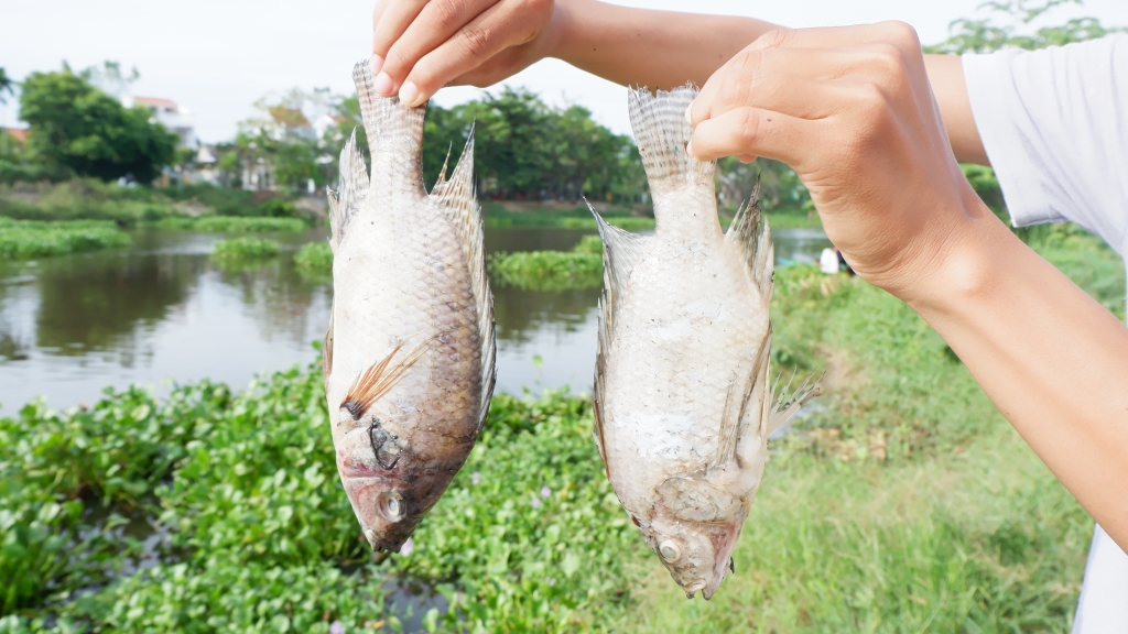 Quảng Nam: Nguồn cung cấp nước thô tại TP Hội An vẫn đảm bảo