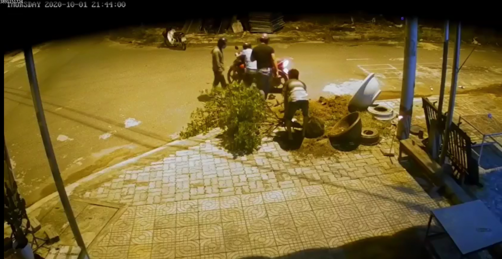 Video: 4 nam thanh niên trộm mai kiểng gây sốt mạng xã hội tại Quảng Nam