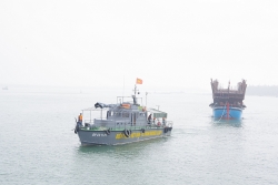 Quảng Nam: Tàu cá chìm khi đang neo đậu, hai cha con mất tích
