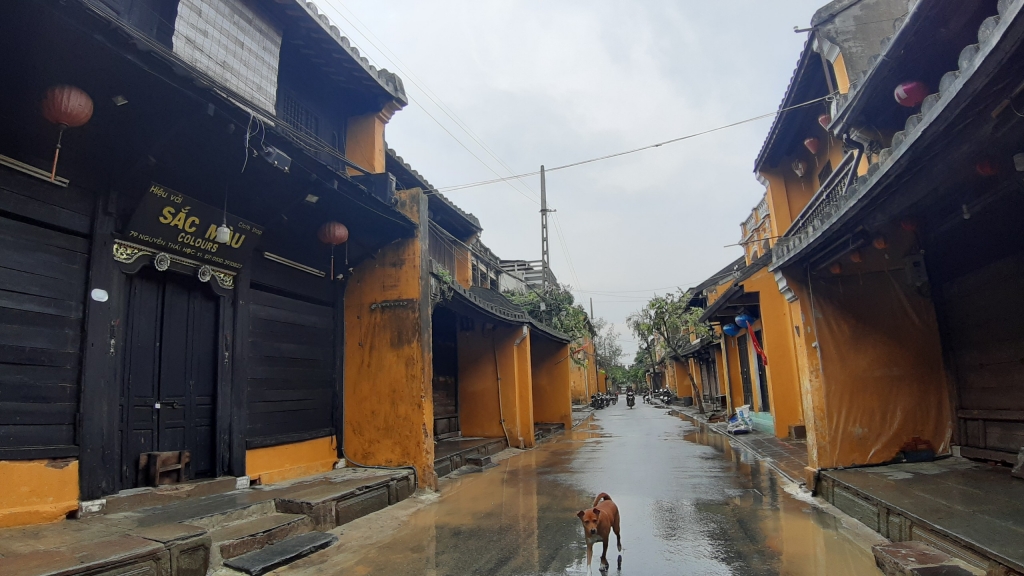 Quảng Nam: Tổng lực làm sạch phố cổ Hội An để đón khách tham quan