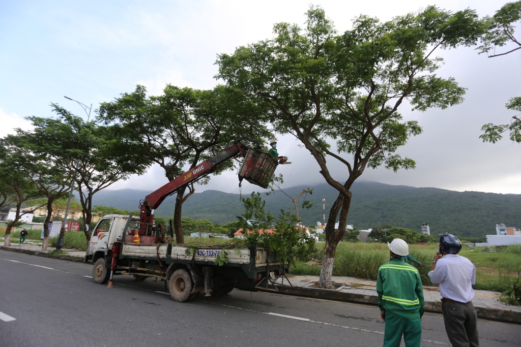 Đà Nẵng: Tàu, thuyền được ngư dân di chuyển cấp tốc vào đất liền để tránh bão Molave