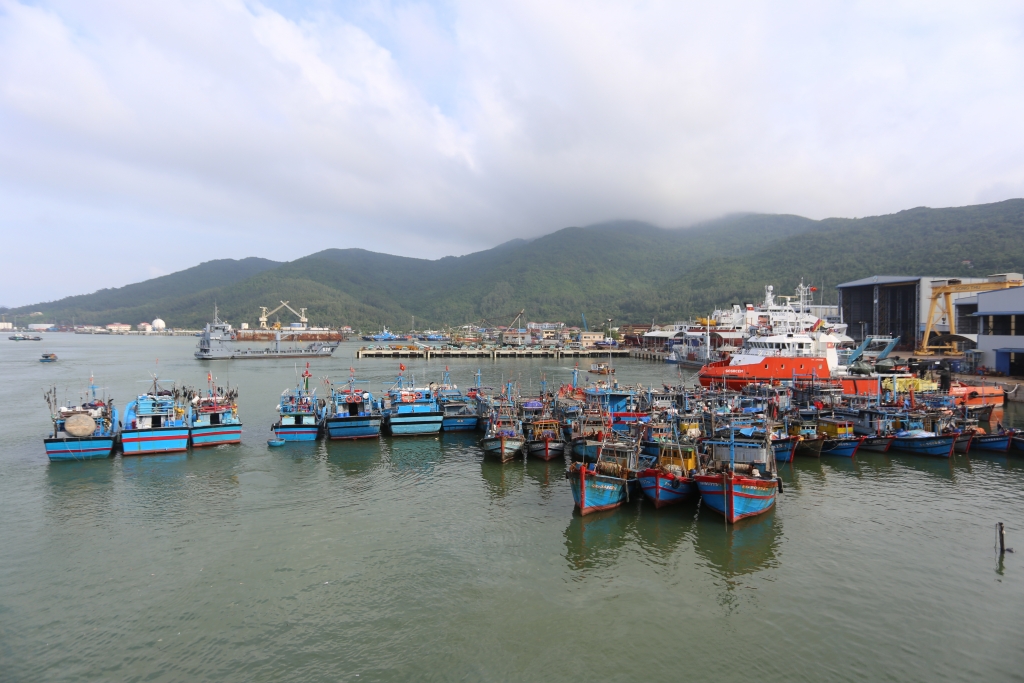 Đà Nẵng: Tàu, thuyền được ngư dân di chuyển cấp tốc vào đất liền để tránh bão Molave
