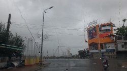 Cập nhật bão số 9 tại Quảng Ngãi: Bảng hiệu, cây xanh ngã đổ la liệt