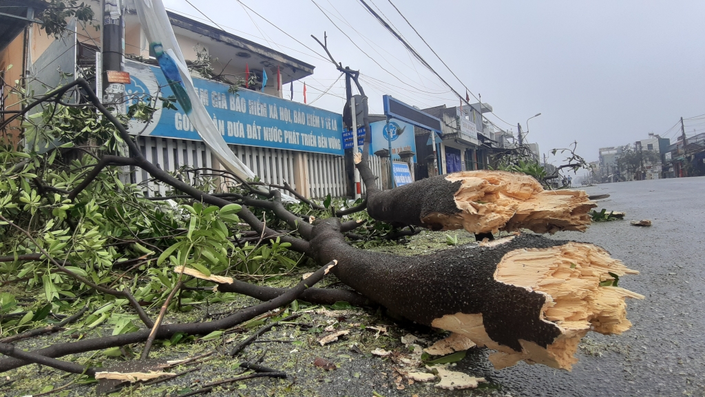Cập nhật bão số 9: Tâm bão đang vào Quảng Ngãi, đã có có hai người tử vong