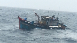 Đà Nẵng: Tàu SAR 274 cứu thuyền trưởng bị nạn trên tàu cá sắp chìm