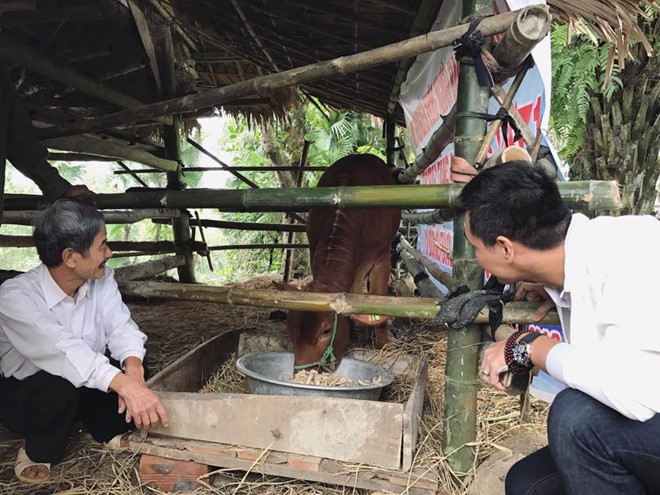 Sao Việt hào hứng đón chào năm mới 2017