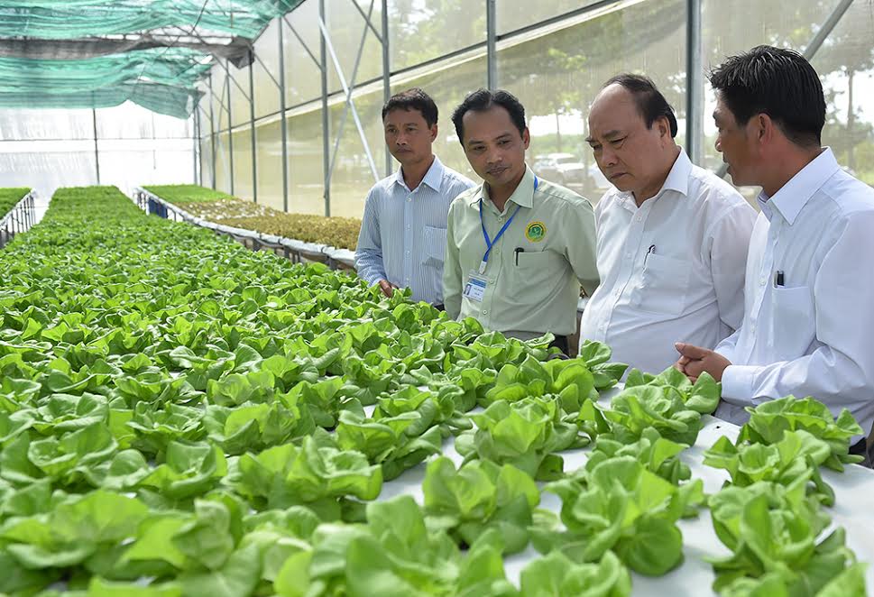 Thủ tướng kỳ vọng Bình Phước sớm trở thành tỉnh tiên phong đổi mới và giàu có của vùng Đông Nam Bộ