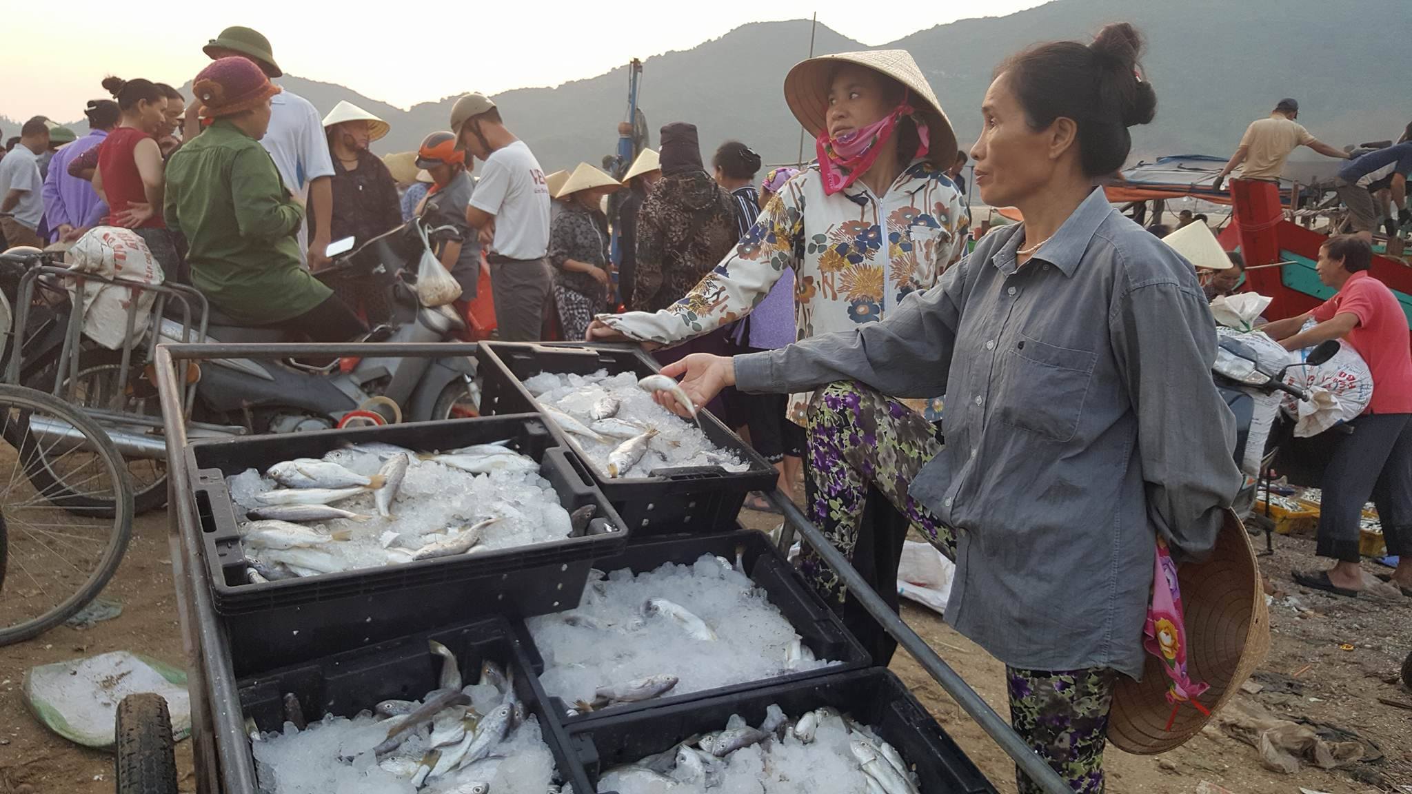 Khẩn trương hoàn thành bồi thường thiệt hại do sự cố môi trường biển