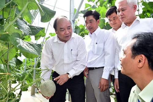 Tạo thuận lợi nhất đầu tư các khu nông nghiệp công nghệ cao