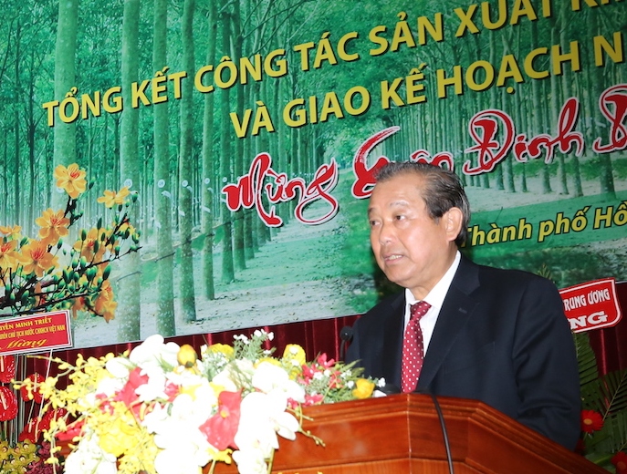 Tập đoàn Công nghiệp Cao su Việt Nam cần đẩy nhanh tiến độ cổ phần hoá