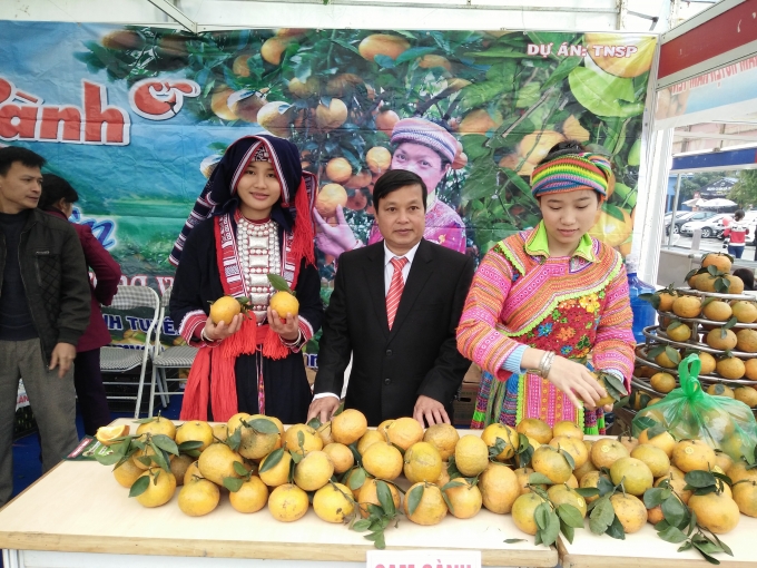 Đặc sản các vùng miền “rủ nhau” về Hội chợ Xuân 2017 phục vụ người dân Thủ đô