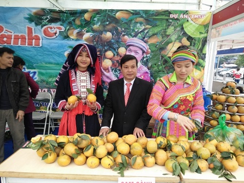 Đặc sản các vùng miền “rủ nhau” về Hội chợ Xuân 2017 phục vụ người dân Thủ đô