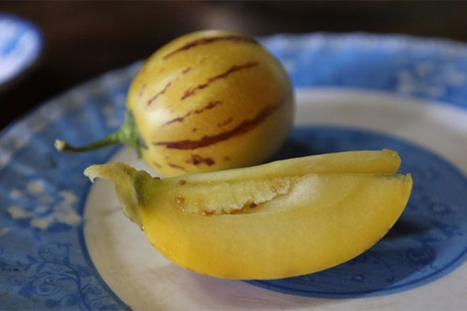 Dưa hấu tí hon nặng gần 3 lạng “cháy hàng” Tết Đinh dậu