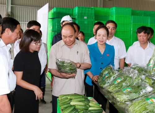 Thủ tướng yêu cầu tiếp tục đẩy mạnh tái cơ cấu nông nghiệp theo chiều sâu