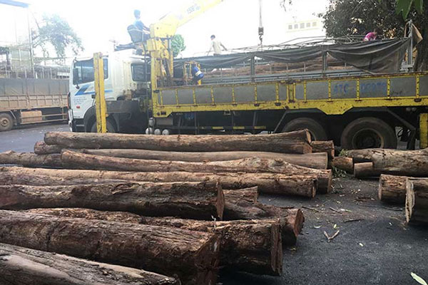 Đắk Lắk: Bắt 5 xe tải chở gỗ vượt tải trọng không rõ nguồn gốc