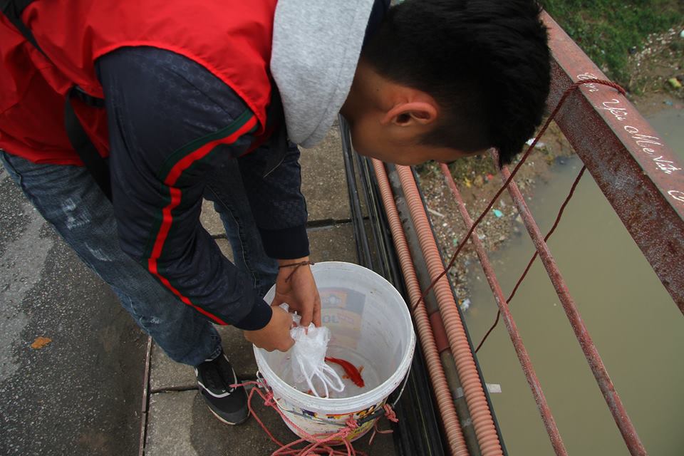Tình nguyện viên trẻ bảo vệ môi trường trên cầu Long Biên