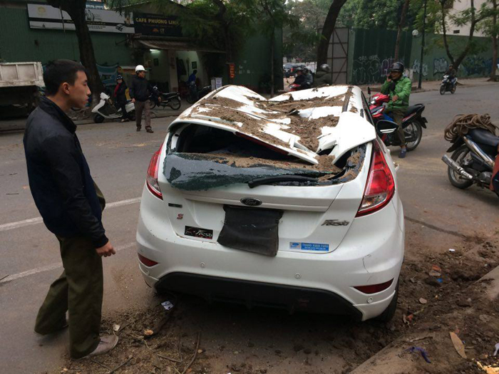Hà Nội: Cây xanh bất ngờ bật gốc, đè bẹp ô tô trên phố Lý Thường Kiệt