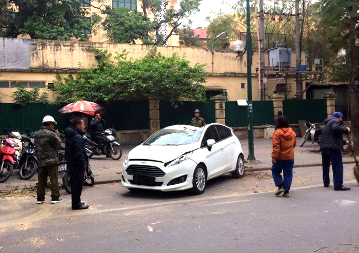 Hà Nội: Cây xanh bất ngờ bật gốc, đè bẹp ô tô trên phố Lý Thường Kiệt