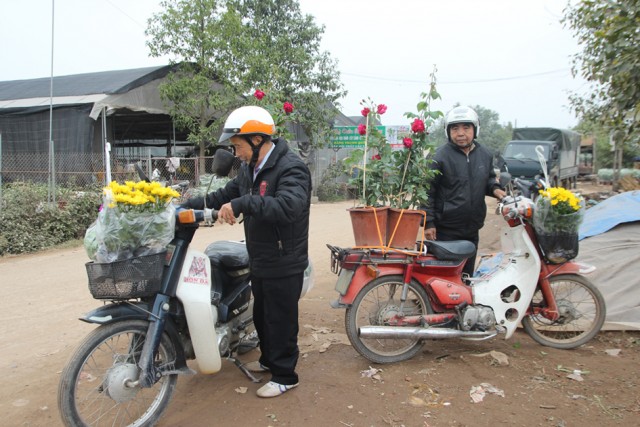Xuân về rộn ràng trên làng hoa ở Hưng Yên