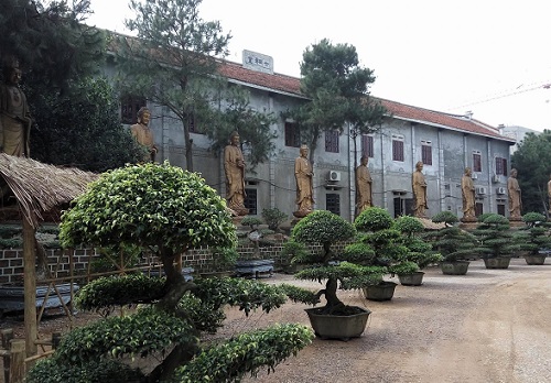 Hàng nghìn học sinh, sinh viên góp sức tạo hàng vạn nụ cười an lạc đón xuân