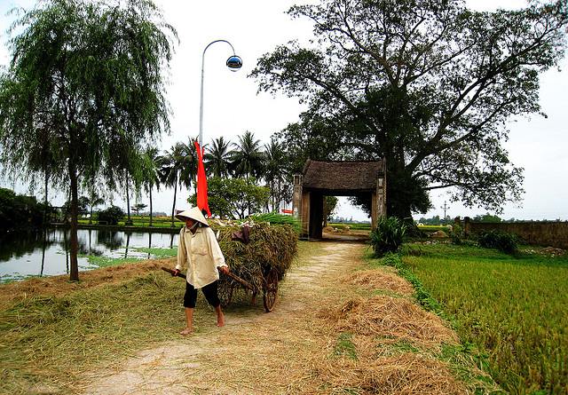 Làng cổ Đường Lâm: Lắng sâu những trầm tích văn hóa