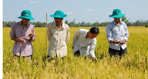 An Giang phấn đấu có nhiều mô hình nông nghiệp đạt thu nhập trên 500 triệu đồng/ha