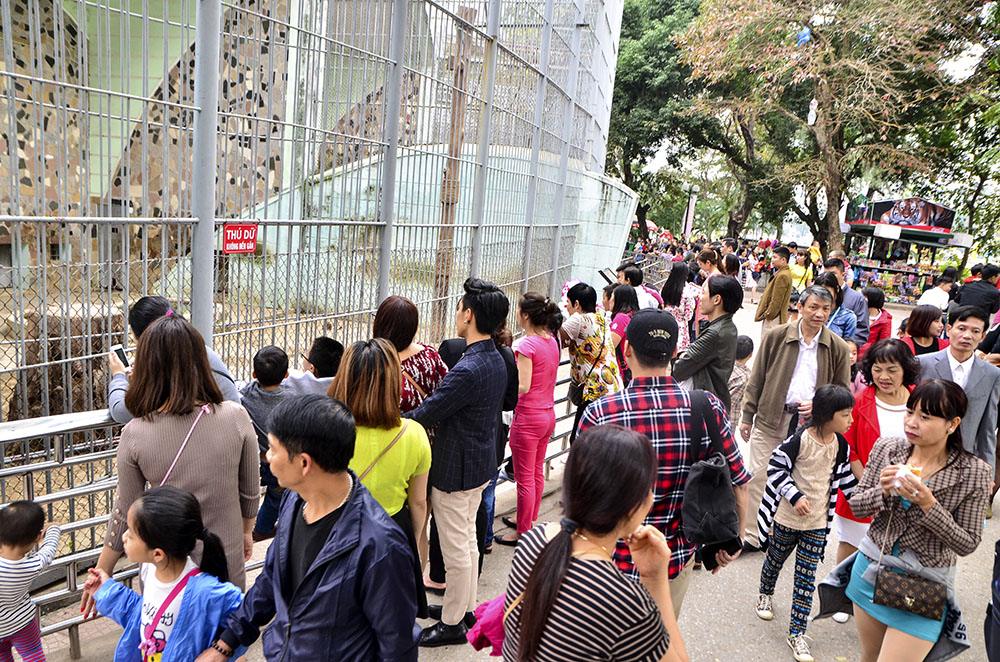 Hà Nội: Các điểm vui chơi nhộn nhịp khách du xuân ảnh 1