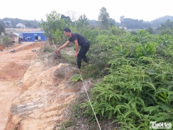 Thái Nguyên: Chính quyền "bạo tay" cắt đất của hộ có sổ đỏ chia cho hộ liền kề