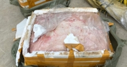Bắc Giang: 1,1 tấn nầm lợn thối bị bắt trước khi tới quán ăn