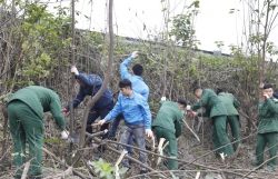 Tuổi trẻ Hoàng Mai ra quân vệ sinh môi trường