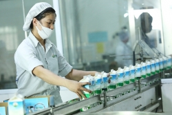 Tin vui đầu năm của ngành sữa Việt Nam
