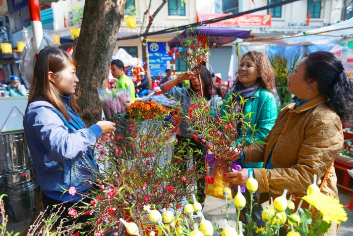 Hà Nội cấm đường hàng loạt tuyến phố để tổ chức chợ hoa Xuân 2020