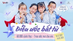 Những cánh hạc chắp ước mơ cho “điều ước bất tử”