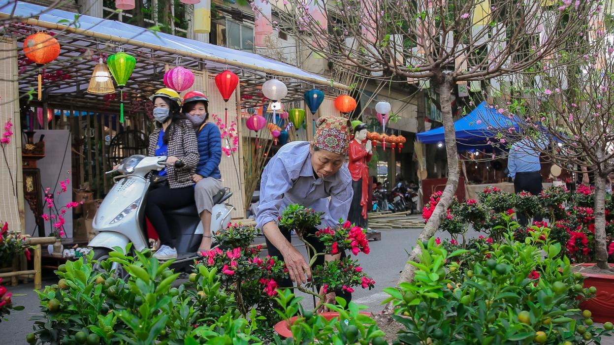 Thời tiết dịp Tết Canh Tý: Khu vực Hà Nội có mưa, trời rét đậm