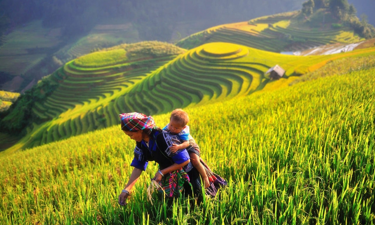Mường Lò - nơi bảo lưu nhiều sinh hoạt văn hóa cộng đồng của dân tộc Thái, Mông, Mường, Tày, Khơ Mú, Dao