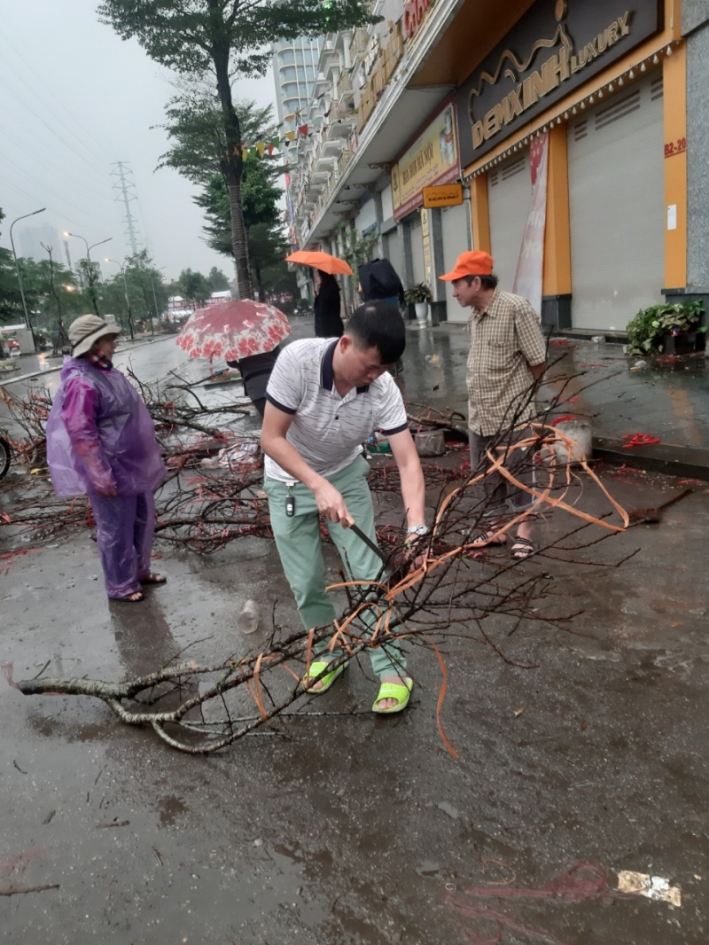 Có người còn mang cả cưa đi để