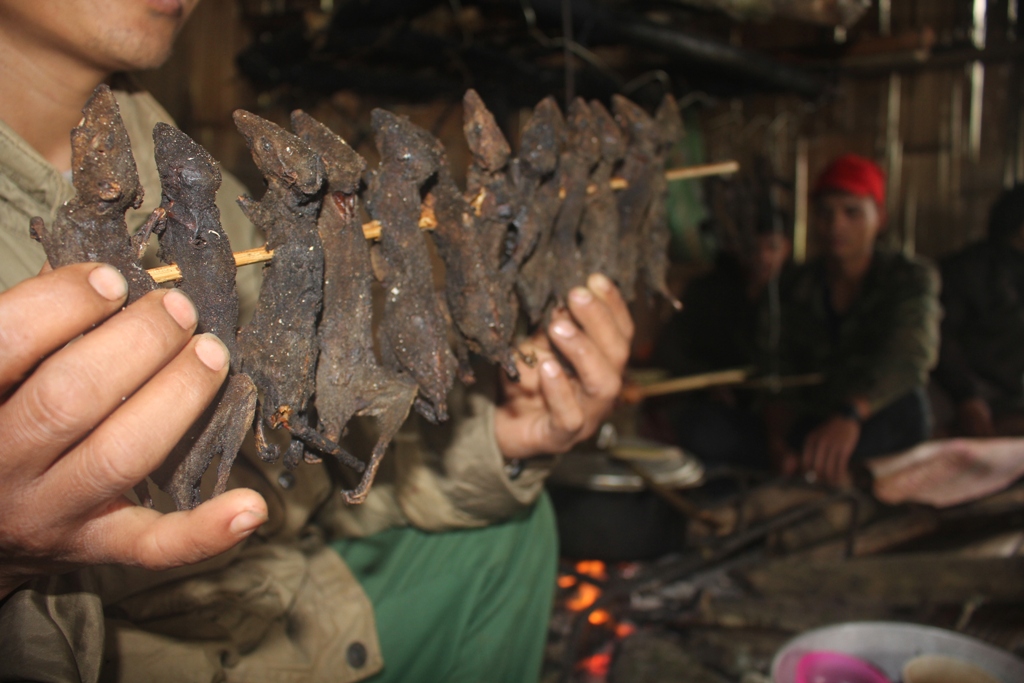 Trèo đỉnh Ngọc Linh săn “chuột quý tộc”