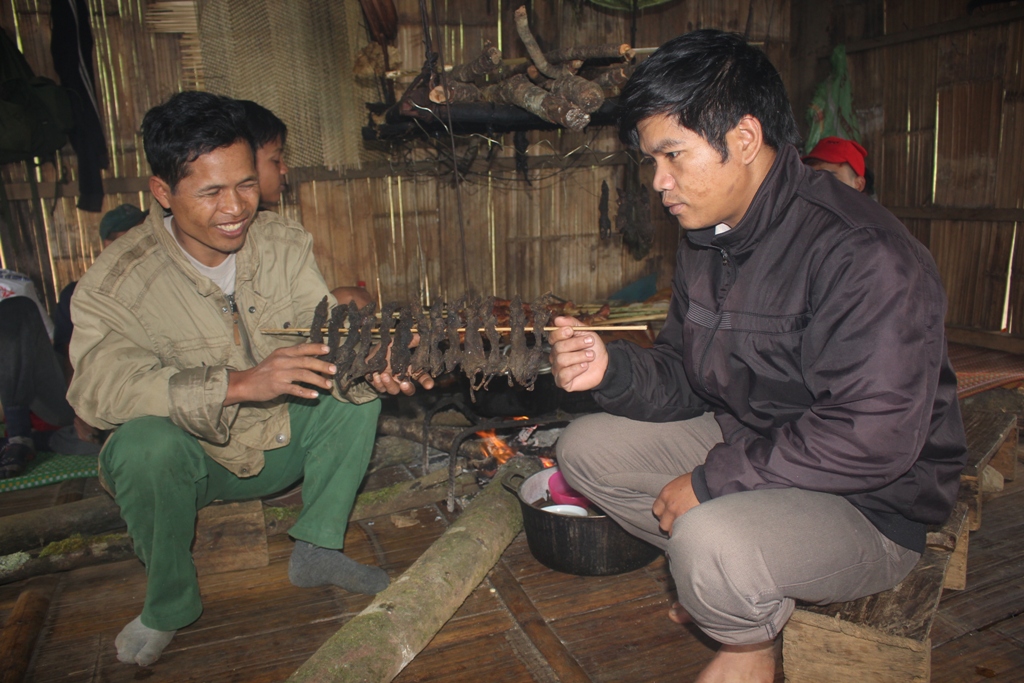 Trèo đỉnh Ngọc Linh săn “chuột quý tộc”