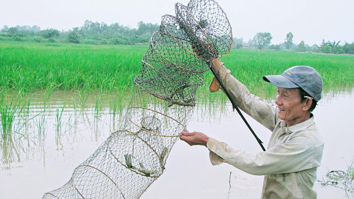 Huyện Hồng Dân (Bạc Liêu): Nông thôn mới phát triển mạnh mẽ