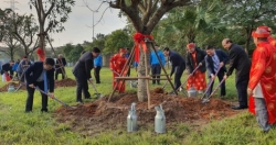 Quận Hoàng Mai tổ chức lễ phát động Tết trồng cây năm 2020