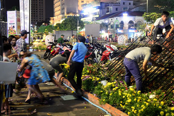 Người dân vượt rào trộm hoa ở đường hoa Nguyễn Huệ