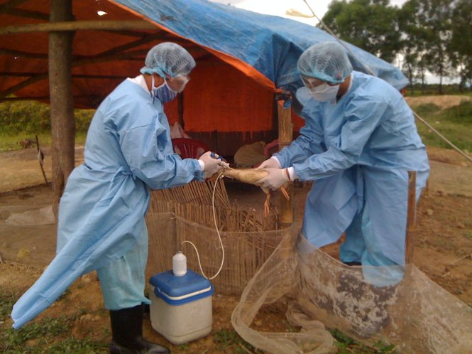 Giám sát chặt các trường hợp nghi mắc cúm A (H7N9)