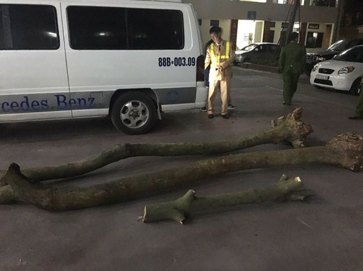 Hà Nội: Bắt quả tang một vụ đào trộm, vận chuyển gỗ sưa trên xe khách