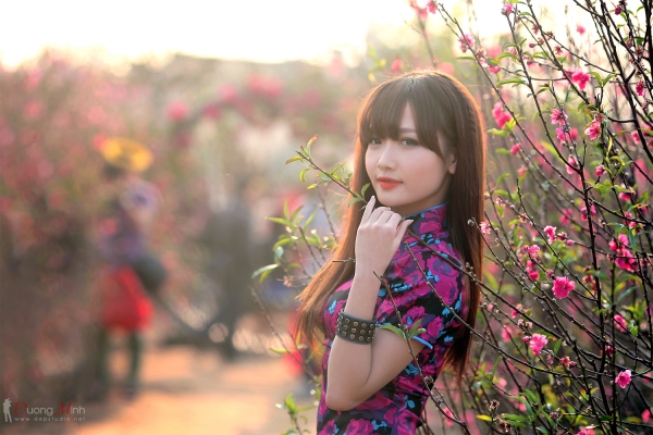 Bài 60: Phố phường thắm sắc hương xuân
