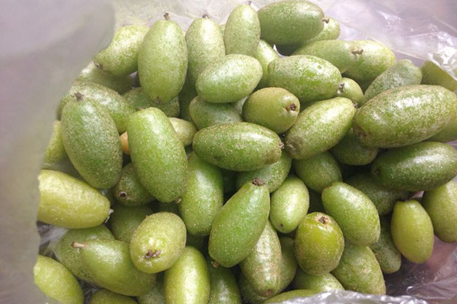 Nhót xanh trộn chẩm chéo, ăn thế nào để không hại dạ dày