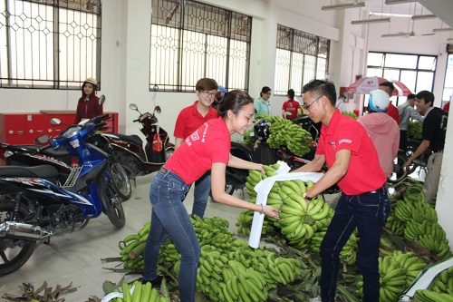 Doanh nghiệp chung tay “giải cứu” chuối sạch cho nông dân Đồng Nai